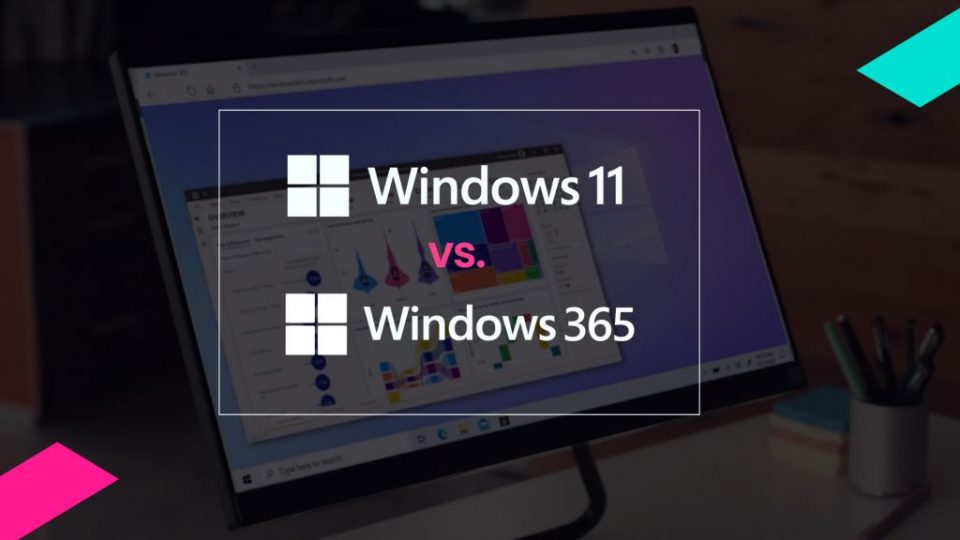 Windows 11 vs. Windows 365 – The Great Debate