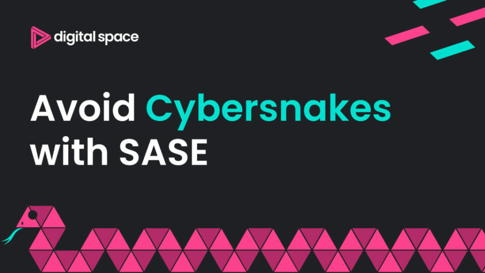 Avoid the Snakes: How SASE bridges the cybersecurity skills shortage