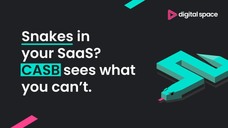 Snake and Ladders: How CASB keeps the cyber snakes at bay